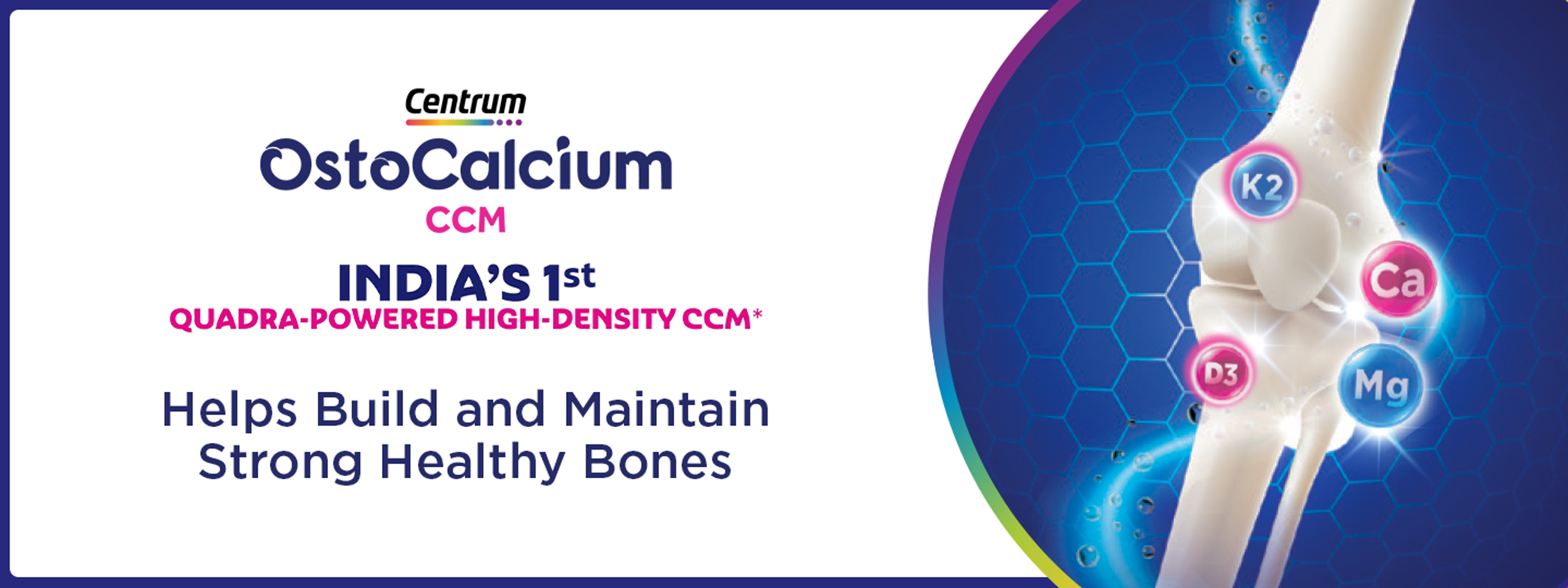 Ostocalcium_ccm-desktop